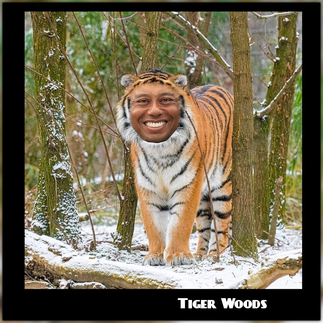 🌳🏌️⛳🐅🌳
#tigerwoods #tiger #woods #forest #forestphotography #woods #thewoods #comedy #lol #funny #pun #smiling #humor #memes #comedian #parody #meme #art #golf #golfer #cat #feline #snow #sports #animals #animalmemes #trees #tw