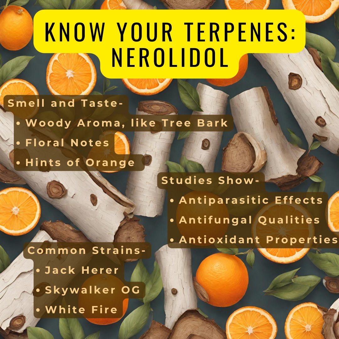 Thirsty for more #CannabisEducation? Join us Saturday, April 20 to ask our expert team all your questions. #ShopLocal #ShopSmall #Cloudcroft #Tularosa #TerpTuesday #Terpenes