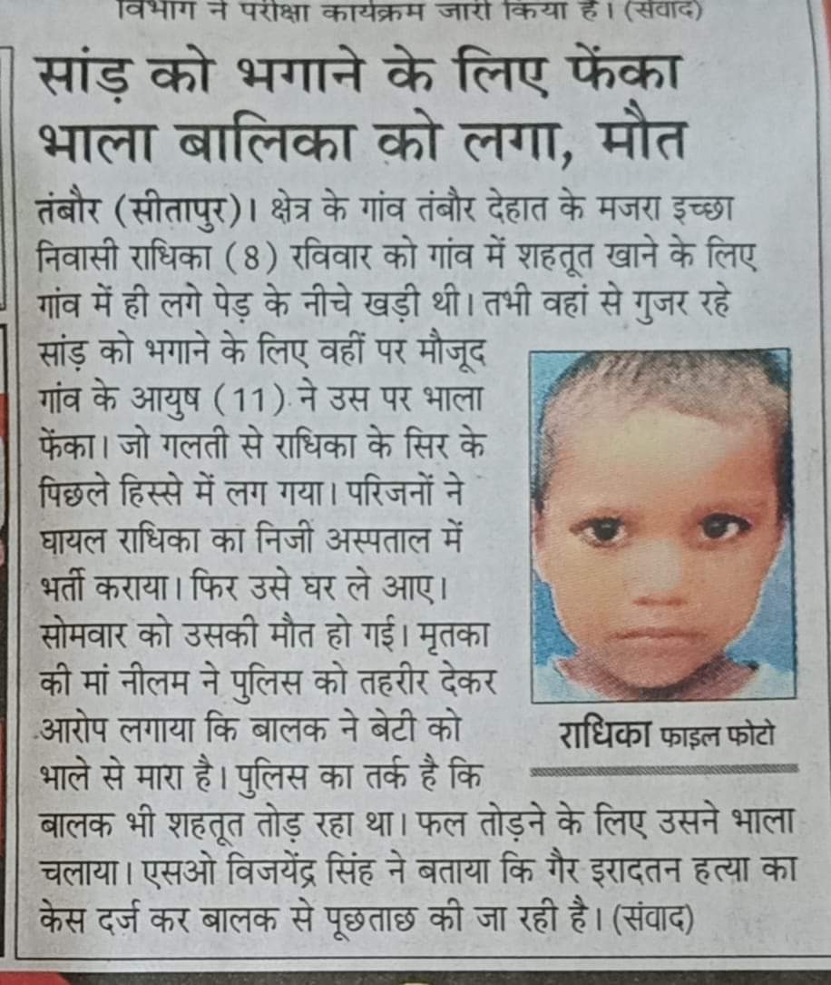 Who is guilty? (Choose one option) 1) The child who throws the spear. 2) The child's family or neighbours who teach the child to spear the bull. 3) The people who create a social problem of destitute cows by increasing the uncontrolled population of cows