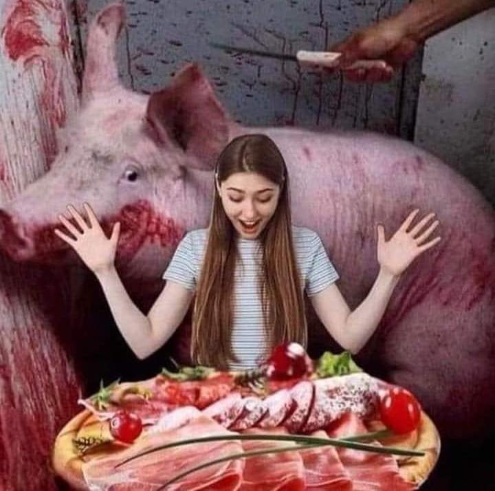 ~  People literally have no thought process when they buy their Animal  foods ~ They don't see the Animal that died, they just see meat ~ You  need to see the individual ~ Vegan for the Animals ~A Peaceful Planet #veganfortheanimals #stopeatinganimals