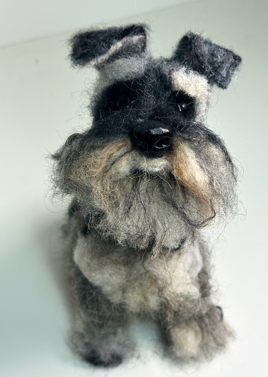 ffinlaysonart's tweet photo. A needle felted schnauzer! https://t.co/4kWE7L23PQ