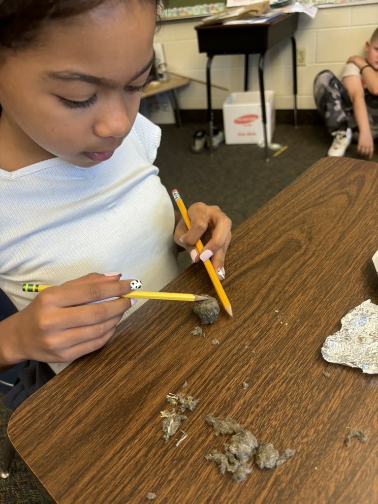 Emerald Shores tweet media