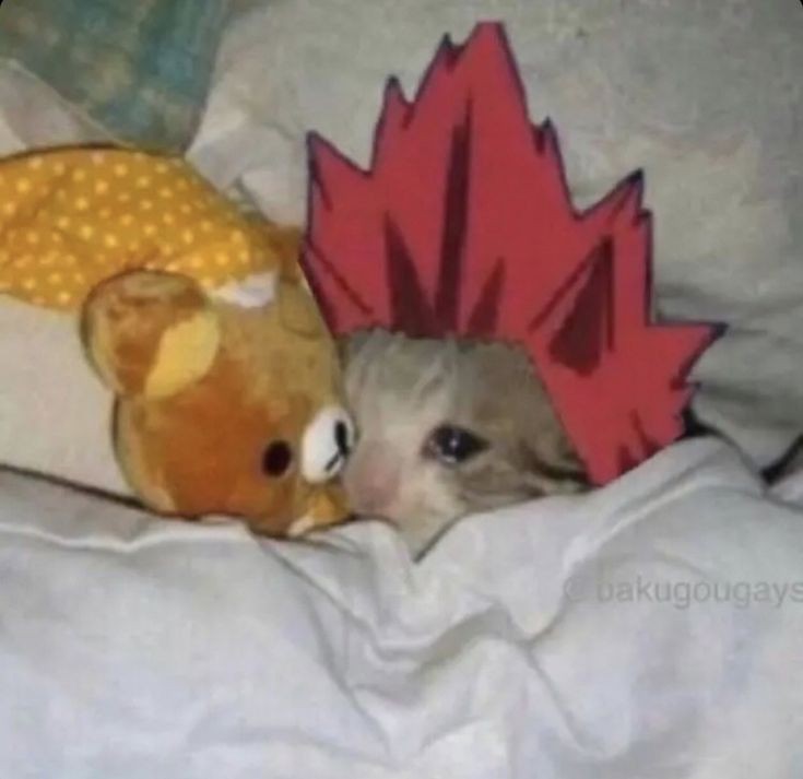 RXD_RI0T's tweet photo. This is me if you even care 💔 https://t.co/D9R17GWs7u