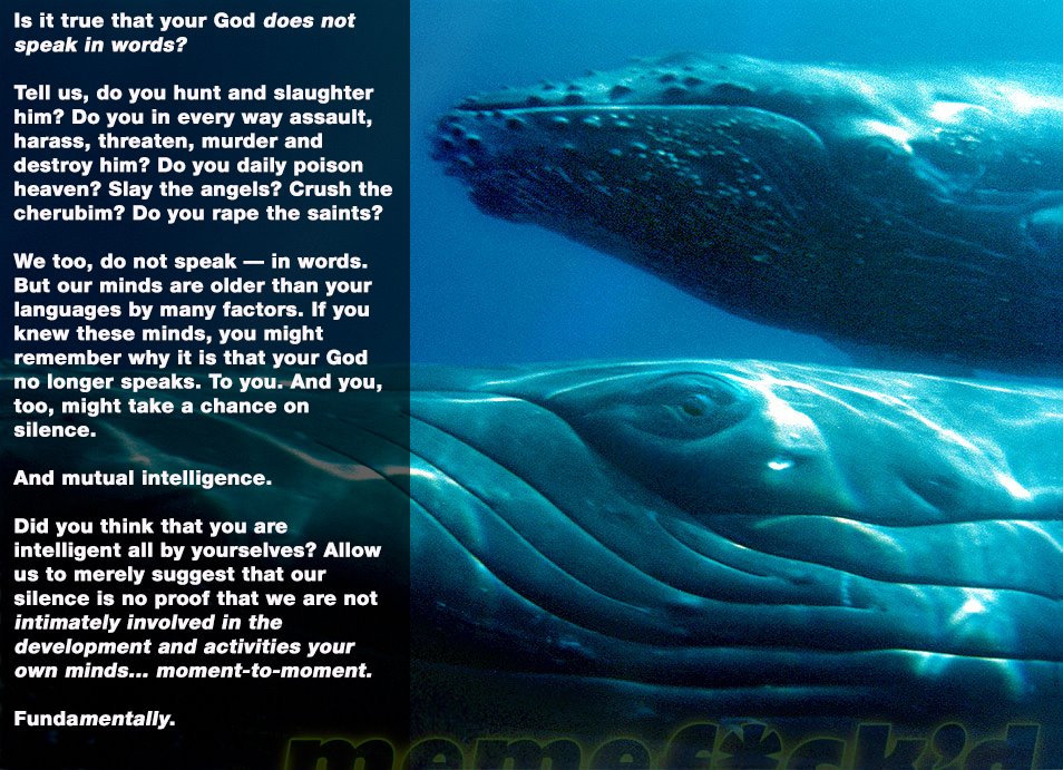 Darin Stevenson (@organelle) on Twitter photo 