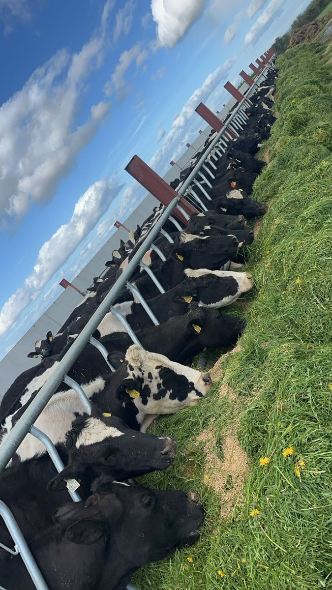 Adam Whyte tweet media