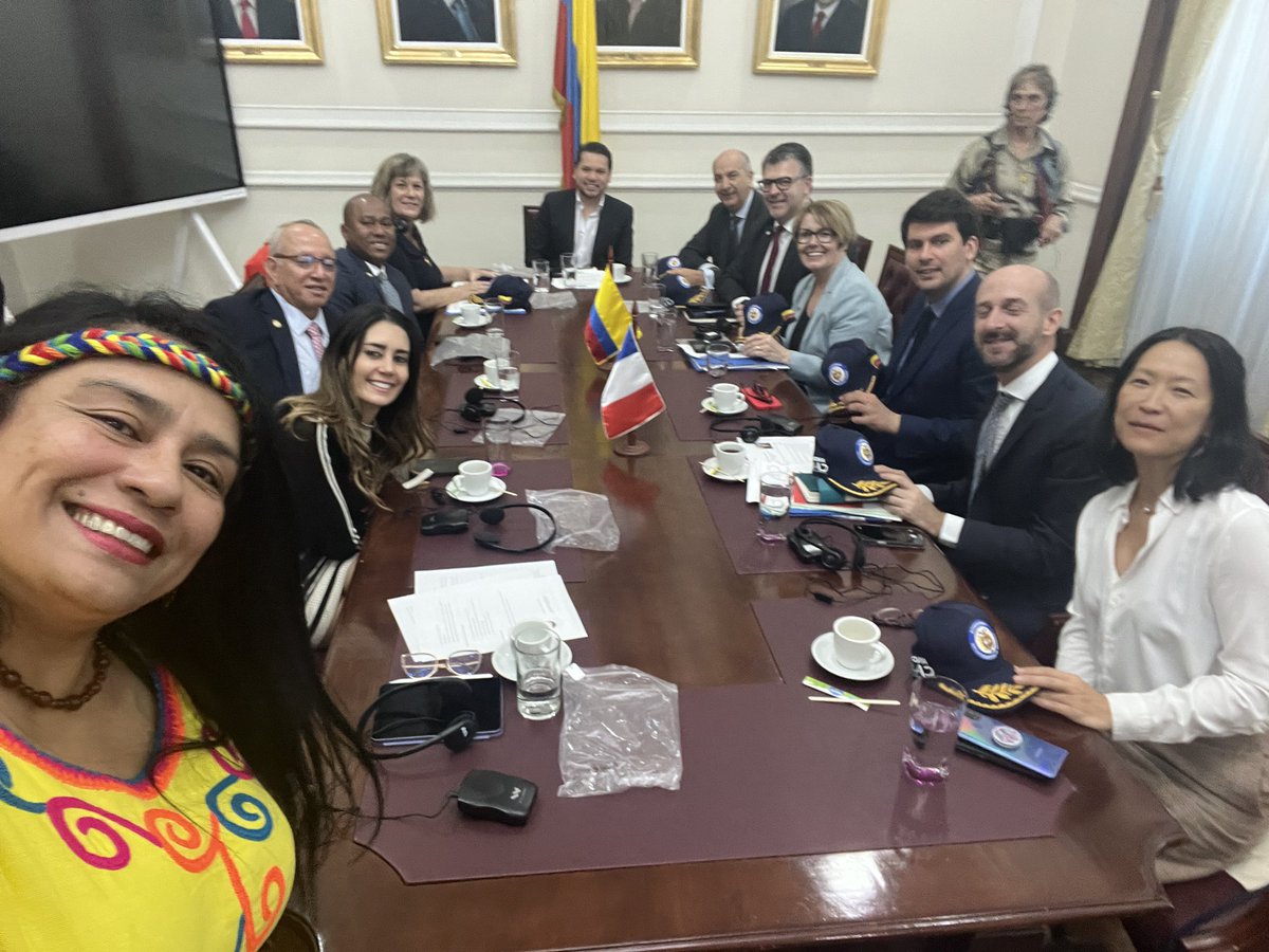 Con el Grupo Interpalarmentario de Amistad de Francia y Países Andinos. Prioridades de interés mutuo incluyen la cooperación descentralizada, clima, medio ambiente y desarrollo sostenible, entre otros. @PSchillinger68 @FabienGenet @Marysecarrere @JeanHingray @France_Colombia