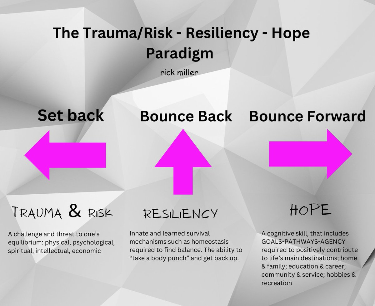 A simple, yet powerful paradigm describing the relationships among trauma & risk, resiliency & hope. The interrelationships of these constructs define much of life's journey-its ups/downs, how we survive its challenges & how despite it all, life goes on.
#kidsathope #hopescience
