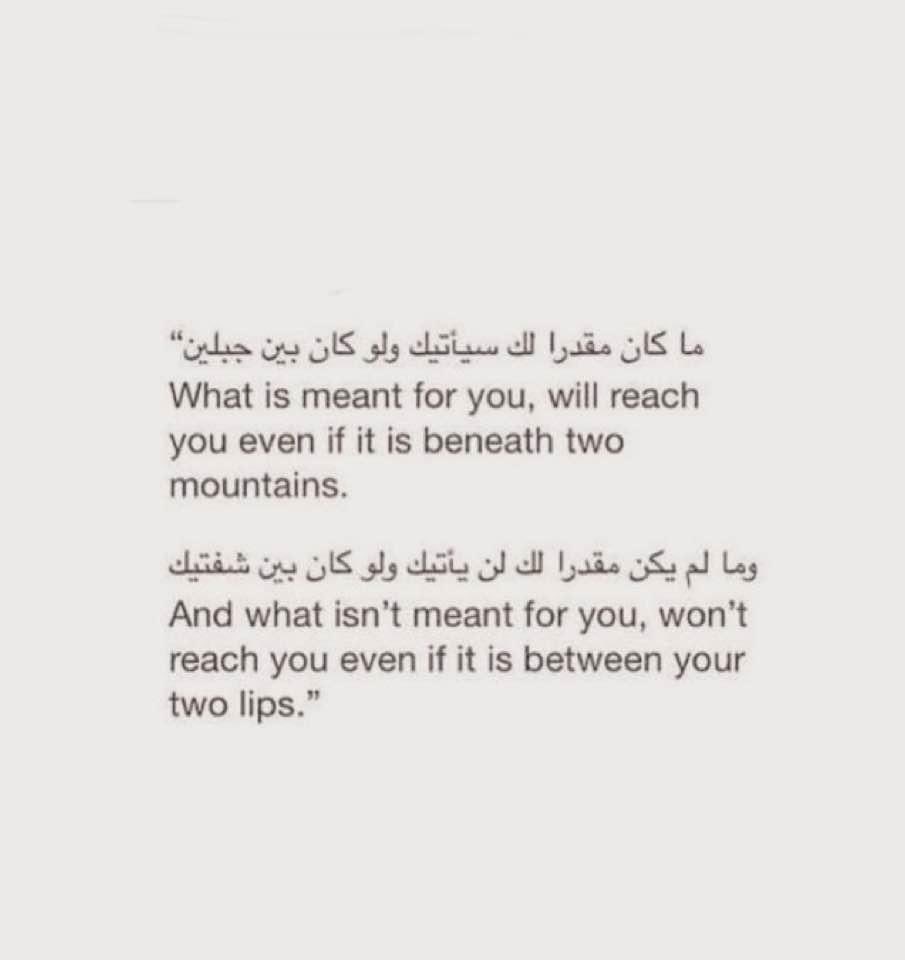 AsadAli_Paki's tweet photo. Indeed 🌻 https://t.co/bE8avOlkE8