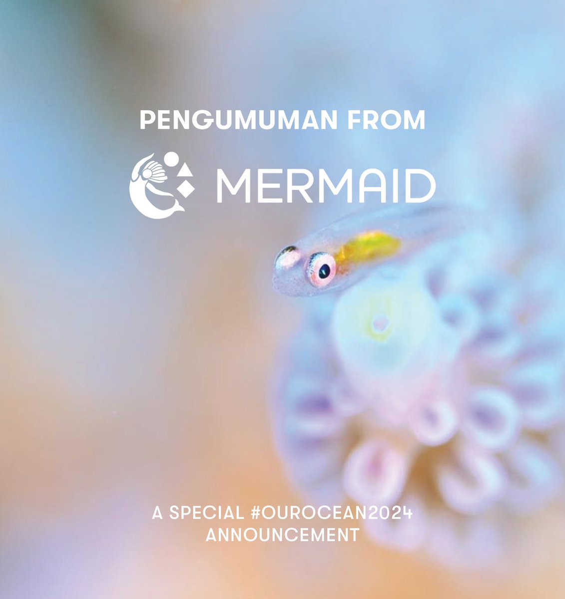 Exciting news today for scientists, divers, and MERMAID partners across the coral triangle – our website is now available in Bahasa Indonesia! 🌊 🇮🇩 Learn how to access the new translation widget here: datamermaid.org/reef-stories/b… Terima kasih banyak! #OurOcean2024 #ForCoral