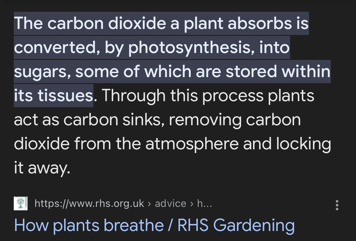 @MikeHudema Stop chopping down Rain Forest, plants 🌱 absorb carbon dioxide