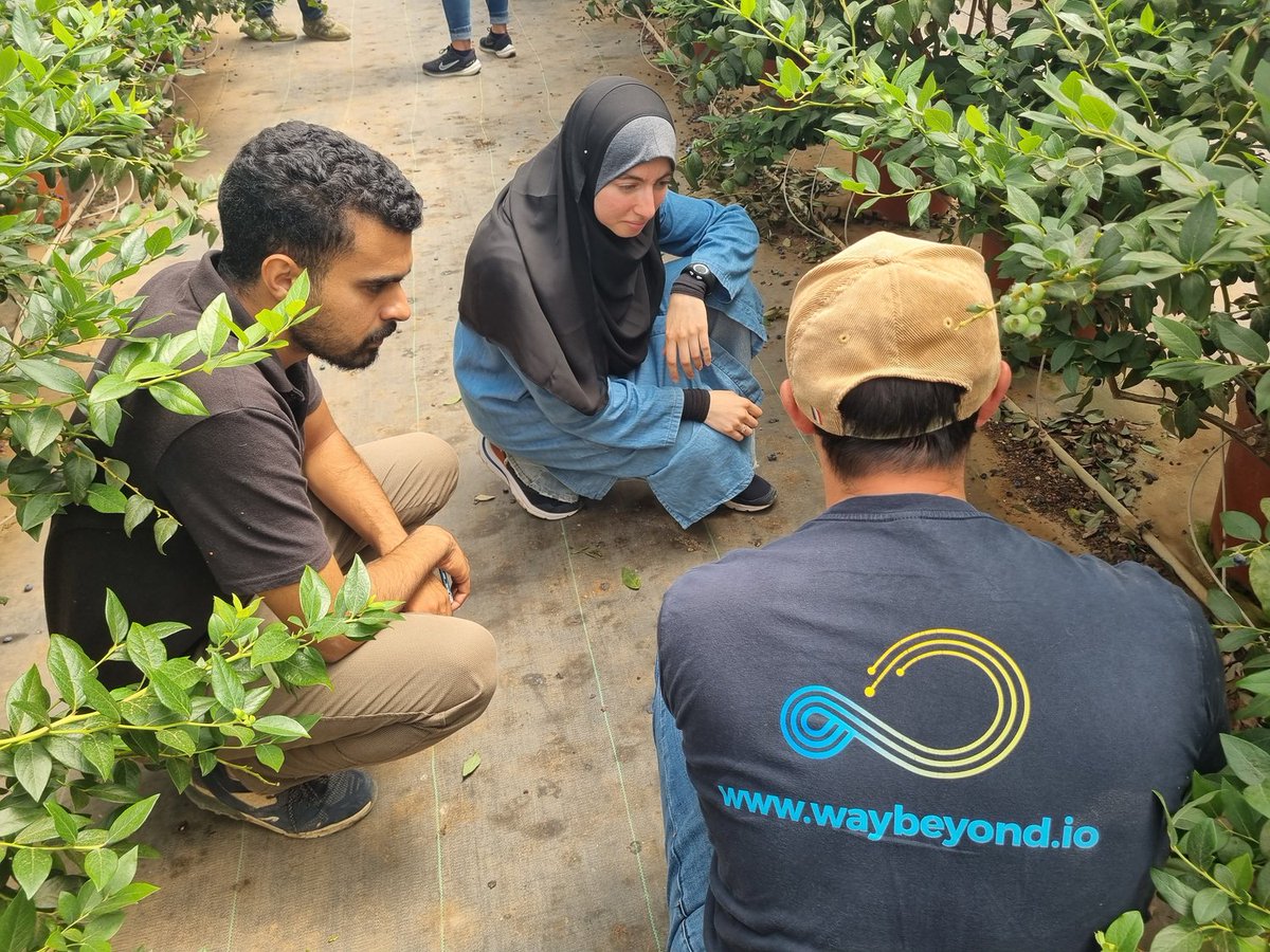 How @African Blue improved crop management by harnessing digital #agronomy. hubs.ly/Q02qFSpG0 With 470+ Ha, Morocco’s blueberry producer wanted to unify data, minimize in-person farm visits and reduce their reliance on manual readings. #growers #digitalagronomy