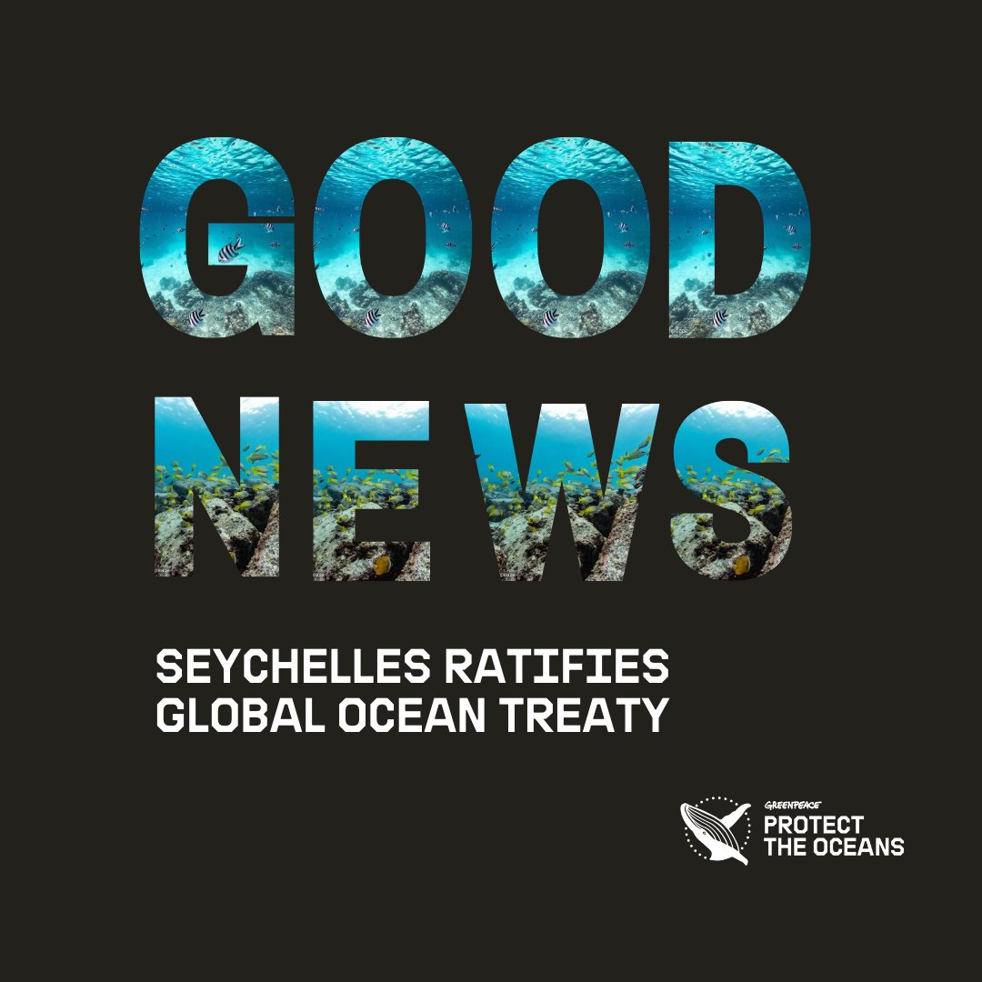 GOOD NEWS 📢
Seychelles has just become the fourth country to ratify the Global Ocean Treaty!
We still have a long way to go, so urge your government to urgently ratify the Treaty in order to protect at least 30% of the ocean by 2030 > act.gp/3Ukby3t

#ProtectTheOceans