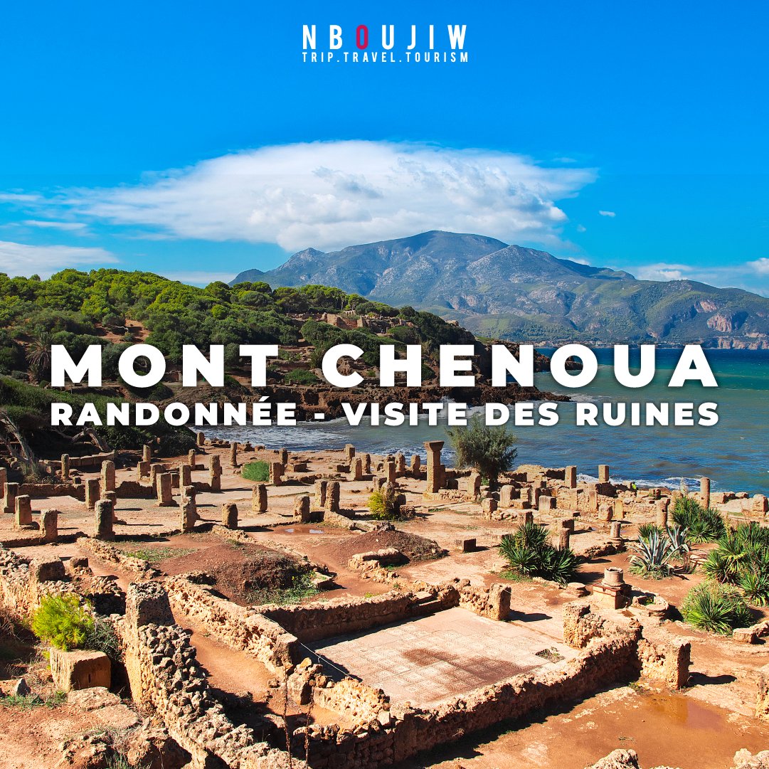 nboujiw's tweet photo. randonnée Mont Chenoua 20 avril 2024 https://t.co/EVzfnu2AXj