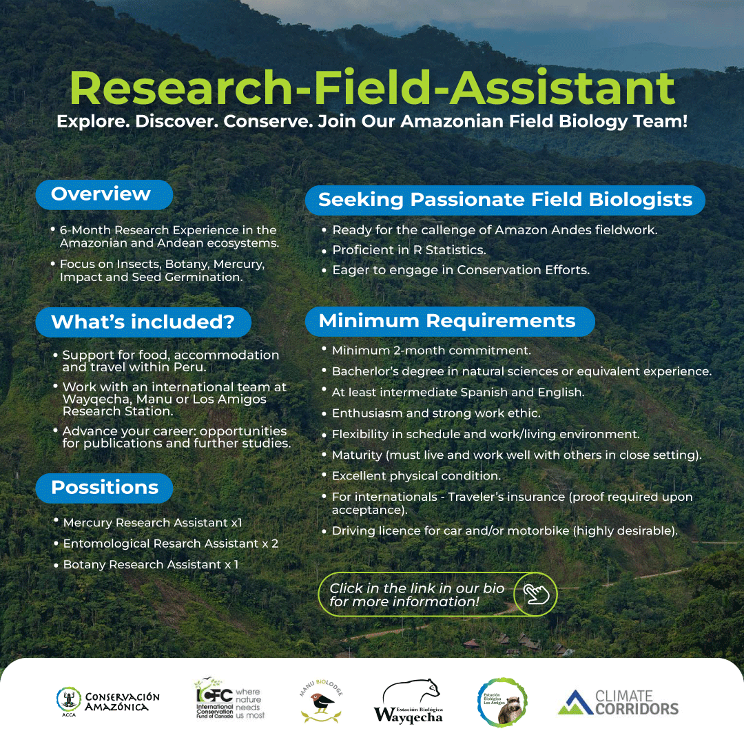 Conservación Amazónica - ACCA tweet media