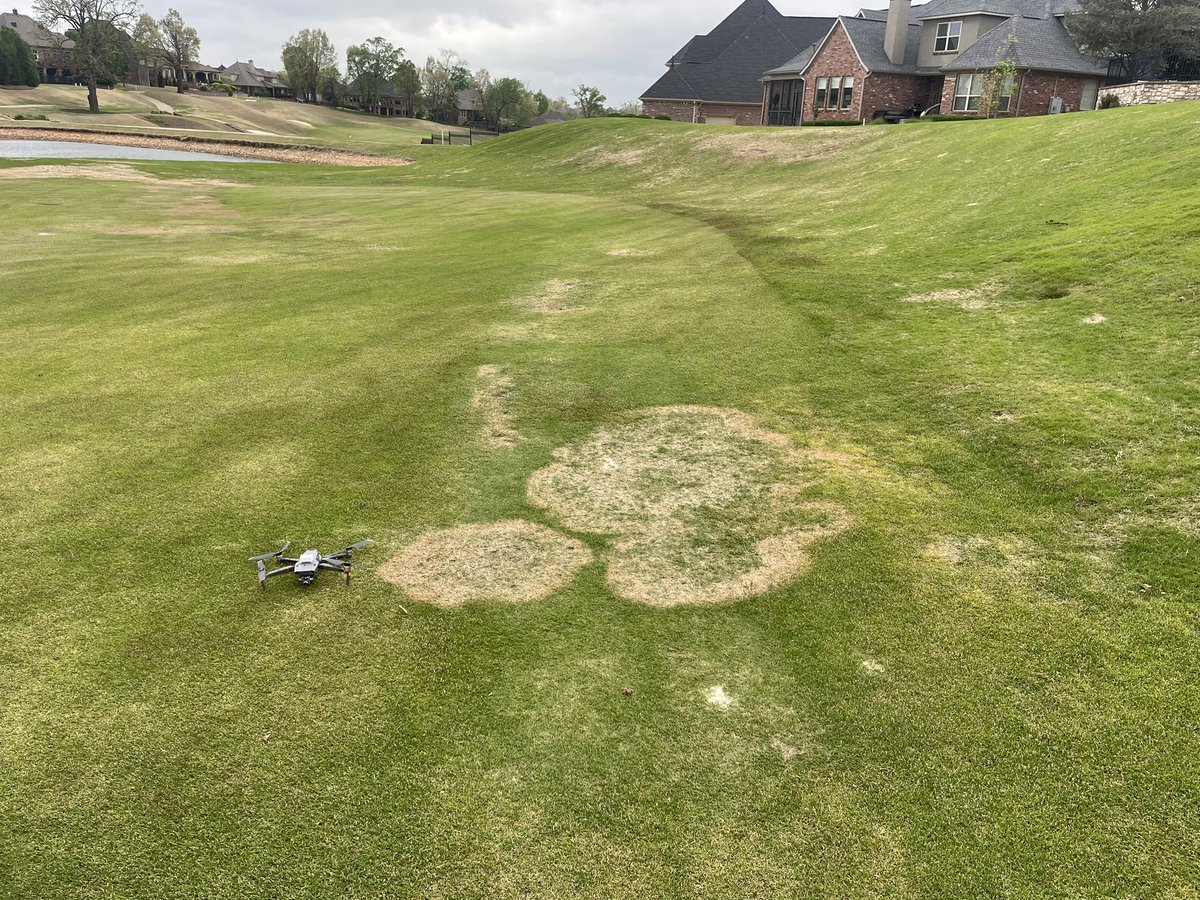 One of my research projects is exploring the spatial and temporal dynamics of large patch (R. solani) via drone imagery. Here we see large patch “firing” 🔥 on zoysiagrass. Excited to see how this outbreak progresses! #largepatch #drone