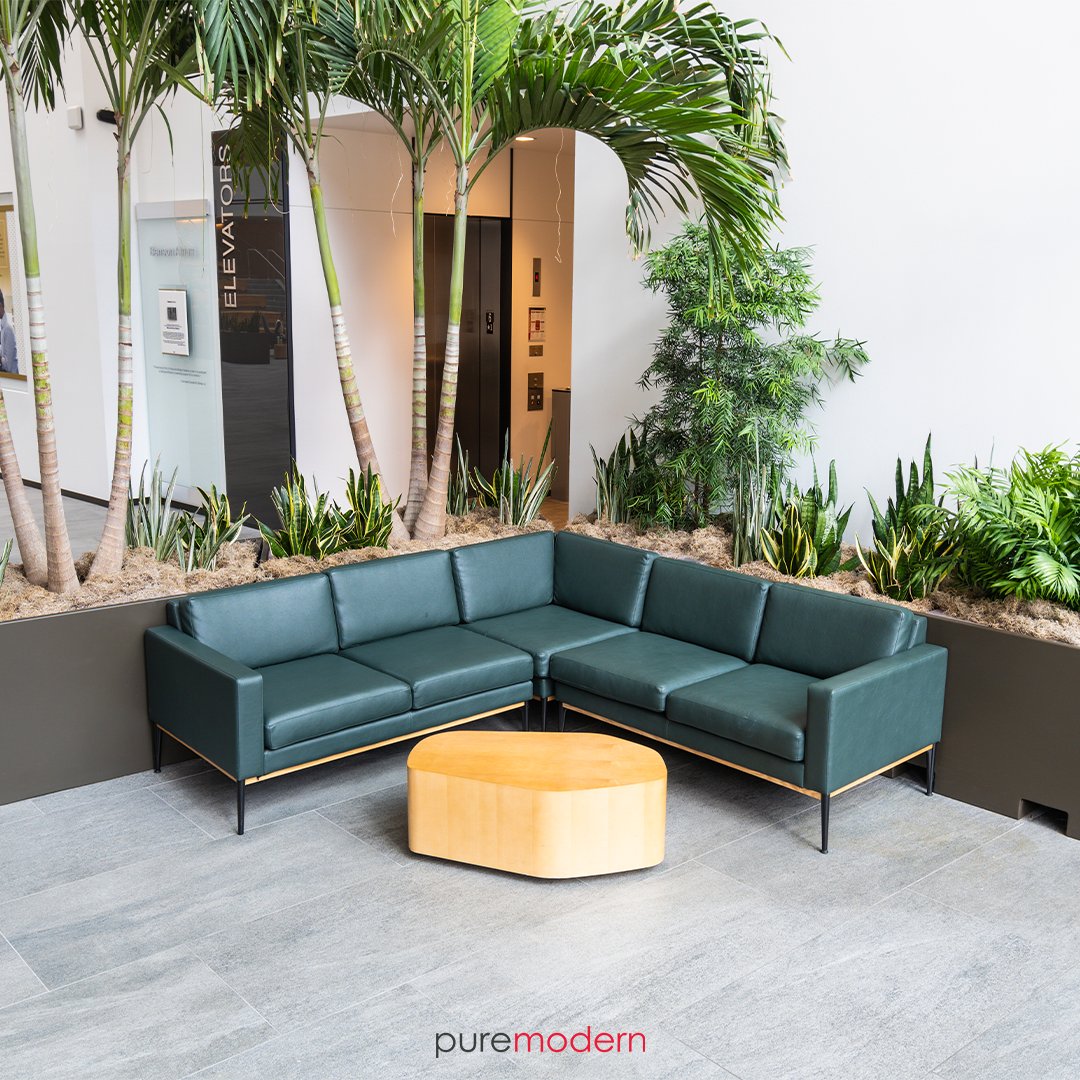 puremodern's tweet photo. Customize your outdoor space with planters that fit perfectly. From material to finish, we've got you covered! 
 
https://t.co/sQW01ZCuev 🌱

#modernplanter #planter #customplanter  #QualityMeetsStyle  #PureModernDesign  #WeatherproofDesign #RooftopDesign #CustomPlanters https://t.co/kDq1r8u1EN