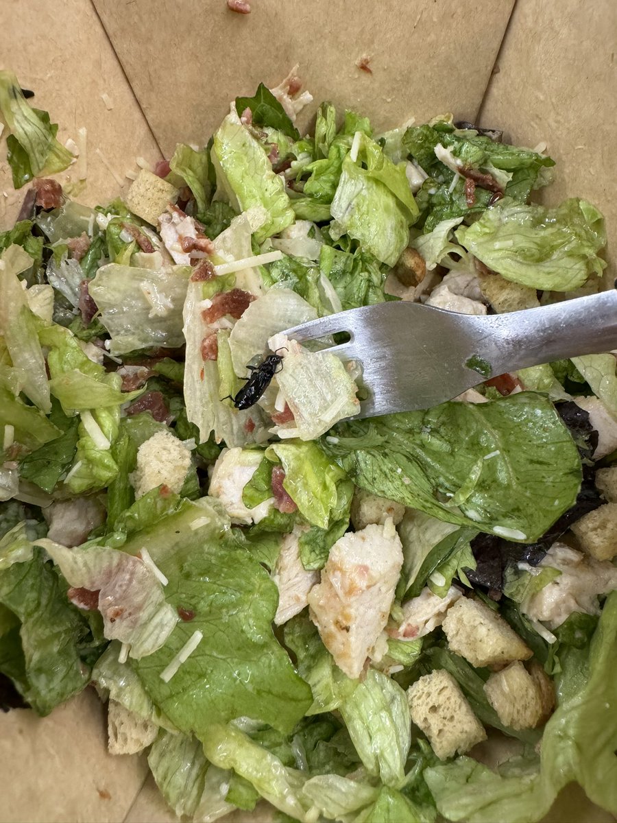 Jesicatm's tweet photo. @gcba Compré está ensalada en el local de @McDonalds_Ar de a Vicente López 2008/98 local 8 y me llegó con este insecto https://t.co/7Htw7ZQOmn