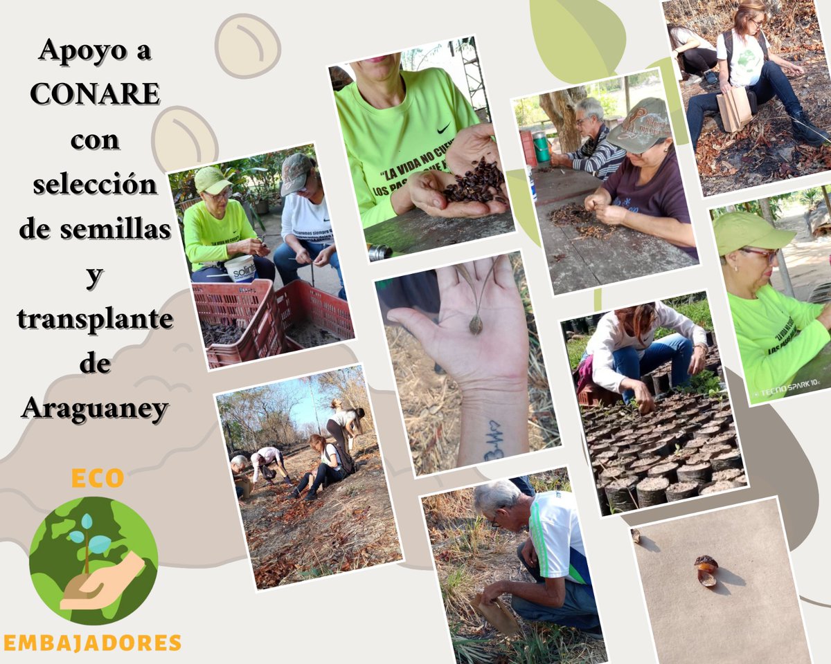 Verde es el color principal del mundo, y a partir del cual surge su hermosura 🌱

#Aragua #Semillas #17Abr