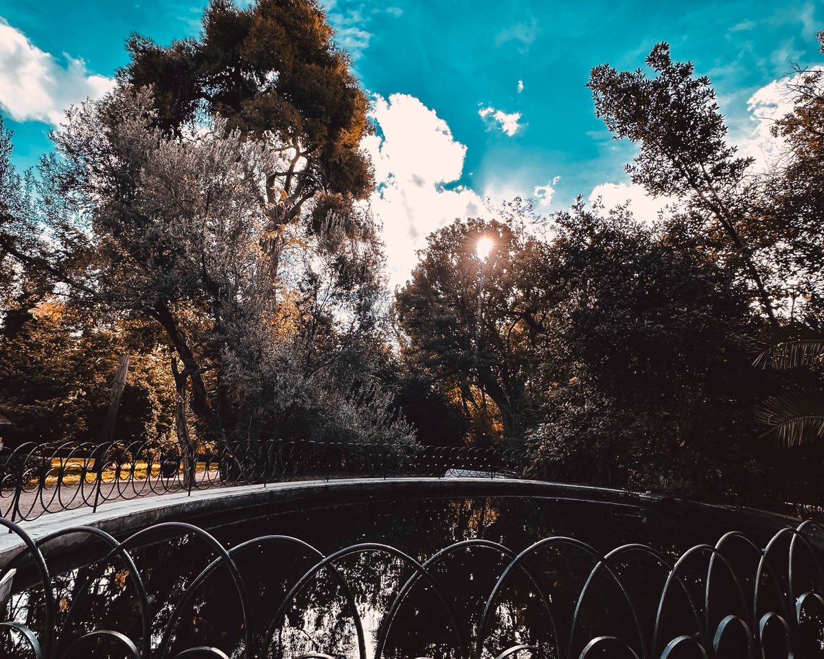 📸 Escape the hustle and bustle of city life and immerse yourself in the tranquility of Athens National Park. With lush greenery, winding trails, and vibrant flora, it's a haven for nature enthusiasts and urban explorers. #photography #travelphotography #outdoors #greece #athens