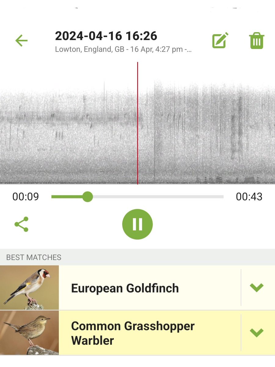 Ella_Mentry_ tweet media