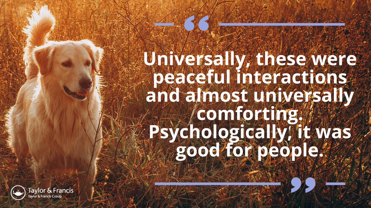 Grieving pet owners can be comforted by 'supernatural' interactions, according to @jengolbeck who experienced 'witnessing' her golden retriever napping just after he'd died. Her @AnthrozoosJ study analyzes supernatural visits reported by 544 dog owners🐶 tandfonline.com/doi/full/10.10…