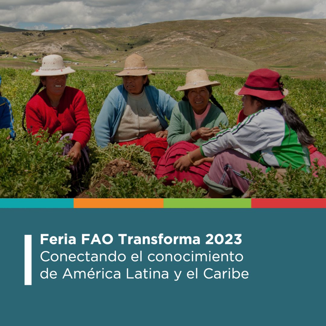¡Descubre lo nuevo en el informe #FAO Transforma 2023! 📣Donde además puedes ver cómo @FAOEcuador y la #UE🇪🇺 apoyan al proyecto #PaisajesAndinos y la gestión sostenible y comunitaria de las zonas andinas🖼️ 💚 en #Ecuador 🇪🇨. 🌎✨ 🌱🤝Revisa el informe👇🏼 bit.ly/FAOTransforma2…