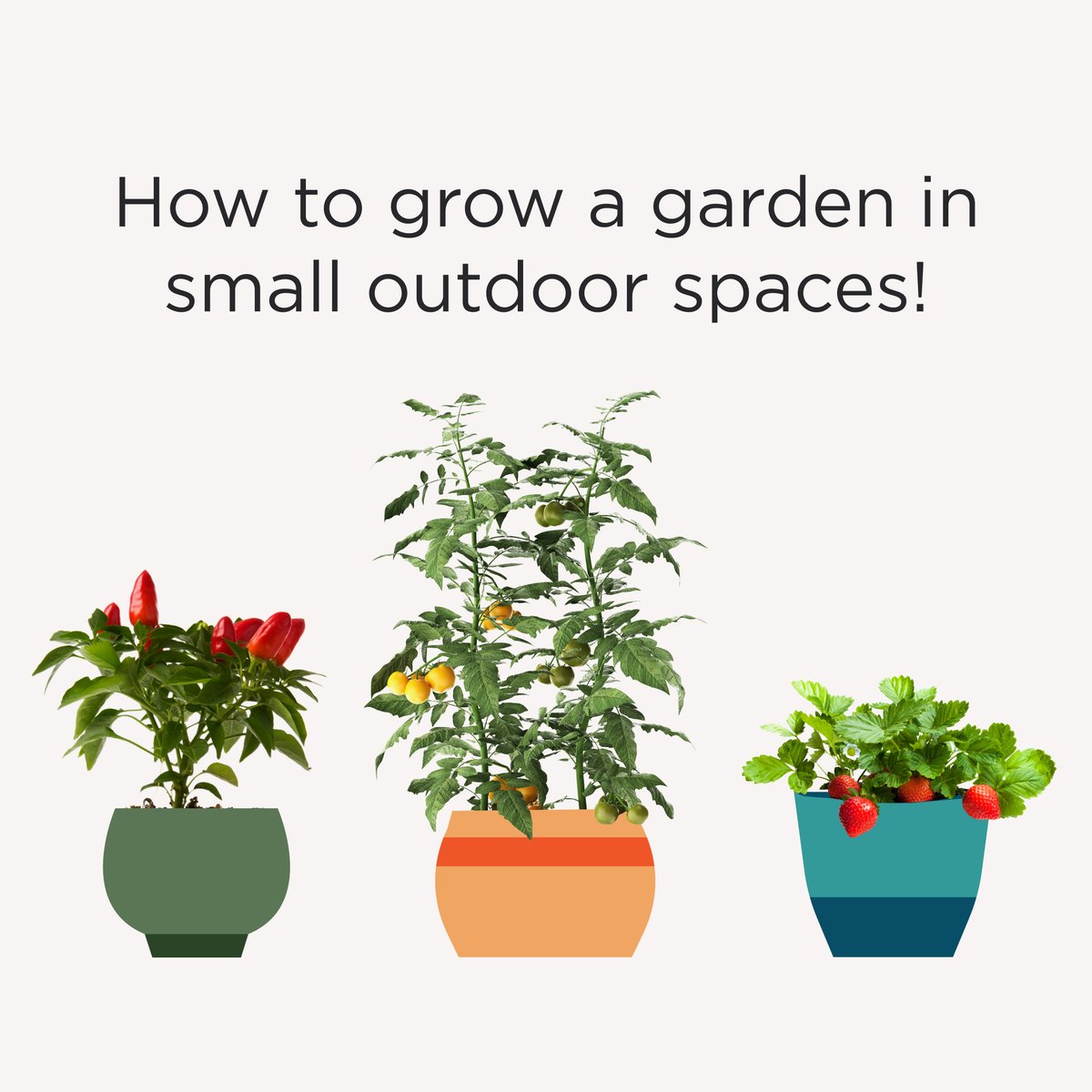 April is National Garden Month. If you have a small outdoor space, you have everything you need to grow your own garden. To choose the best plants for your outdoor space, consider your light source and your space. Happy gardening! #NationalGardenMonth