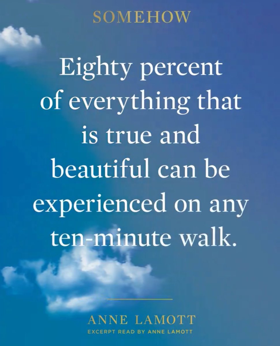 I’m new to the writing of ⁦@ANNELAMOTT⁩ & I’m trying to read her new book, Somehow, without underlining it all! It seems to speak tenderly and with a good dose of humour to a (my) post-COVID world grappling with loss and wanting more love to abound. #grief #joy #transition