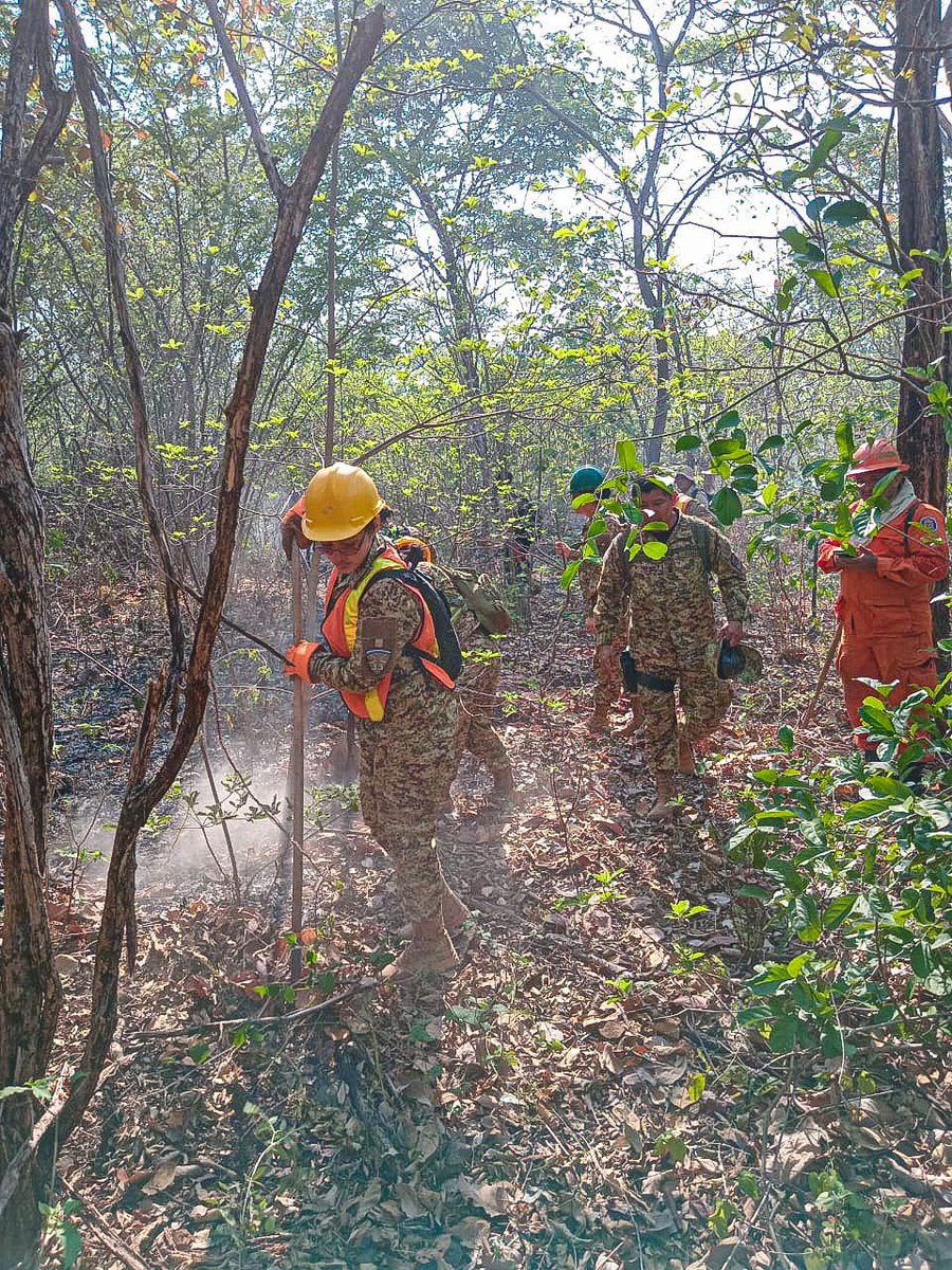 El incendio en el Área Natural Protegida Maquigüe 3 ha sido controlado, luego del trabajo realizado por instituciones de primera respuesta del Gobierno. Ante el siniestro, 74 hectáreas de zona boscosa semi tropical se perdieron en el caserío La Criba, cantón El Ciprés.