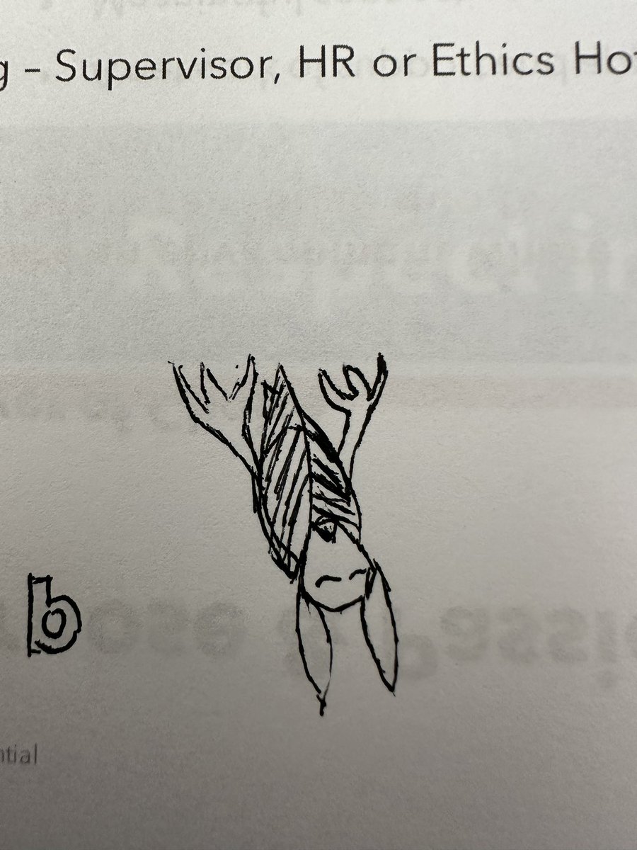 OtterlyHomeless's tweet photo. Made it through the stressful part of my busy week. The rest is just busyness.
I heard you guys like #vtuberart so to demonstrate my ability here is a doodle I made
#imnotanartist https://t.co/nwxfKtReLg