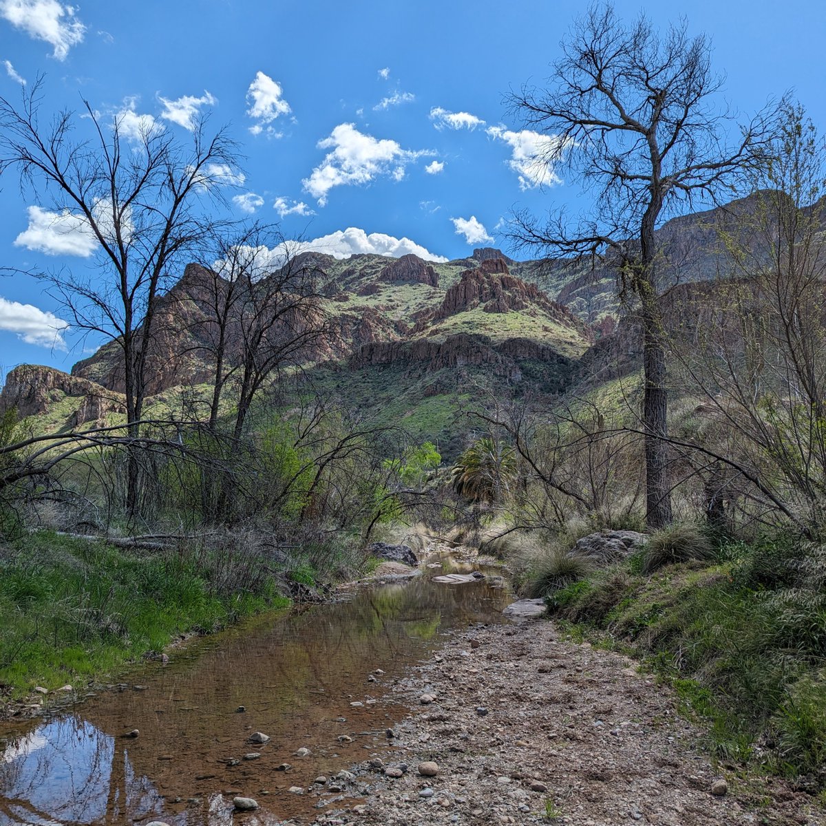 #TeamTriage traveler April sent us some photos she took while hiking at Picketpost Mountain in Arizona! 

We know a lot of you love to hike, so what has been your favorite hike so far this year?