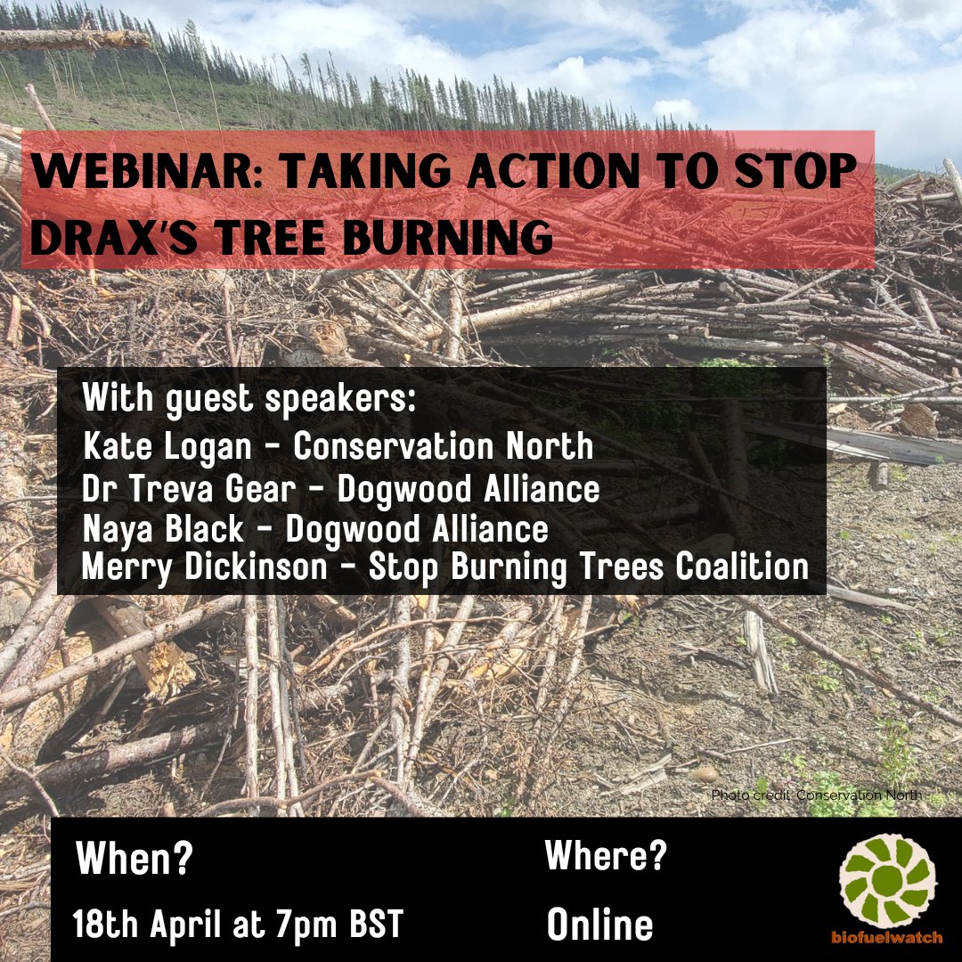If you're free this Thursday at 7pm UK time, please join us, @DogwoodAlliance, @Conserva_North & @sbtcoalition ahead of Drax's AGM to hear how we can take action to stop Drax's tree burning: tinyurl.com/48s66kf7 🌳🔥#StopBurningTrees #DraxAGM #AxeDrax 🌳🌏All welcome!