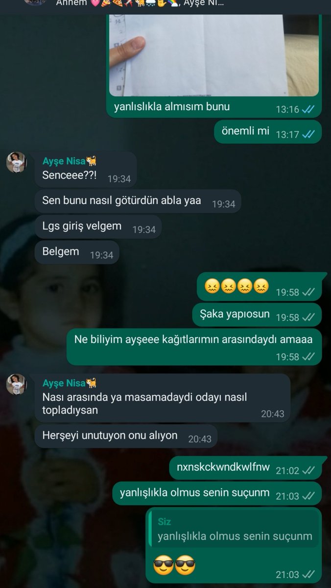 Kardesimin LGS giriş belgesini kendi notlarımla Erzurum'a getirmisim mfmwkclemflslfw