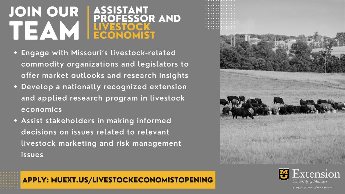 RaFFfinance's tweet image. DASS and @MUExtension are looking for a tenure-track Assistant Professor and Livestock Economist.

If you or someone you know holds a Ph.D. + desires to build a research program in livestock economics, this could be the perfect role! For more info, visit muext.us/livestockecono…