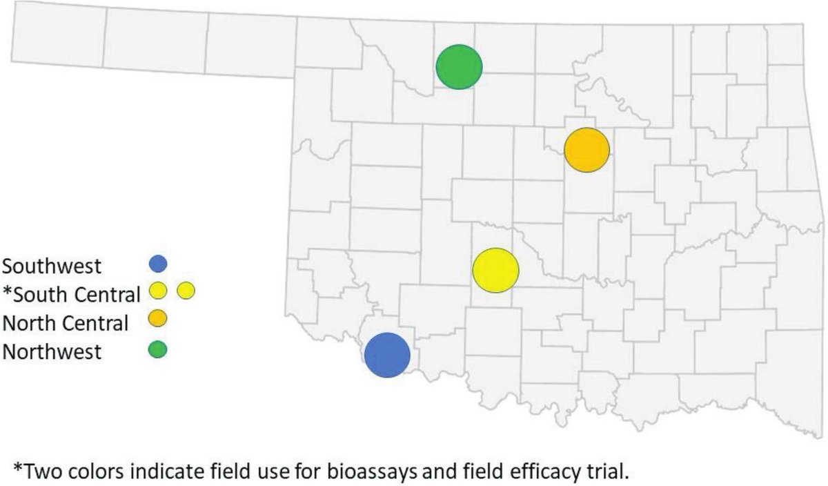 #LiteratureNotice Seuhs. Identifying Resistance to Lambda Cyhalothrin Insecticide on Alfalfa Weevil (#Coleoptera: #Curculionidae) in Oklahoma. doi.org/10.3958/059.04… #Beetles #Weevils