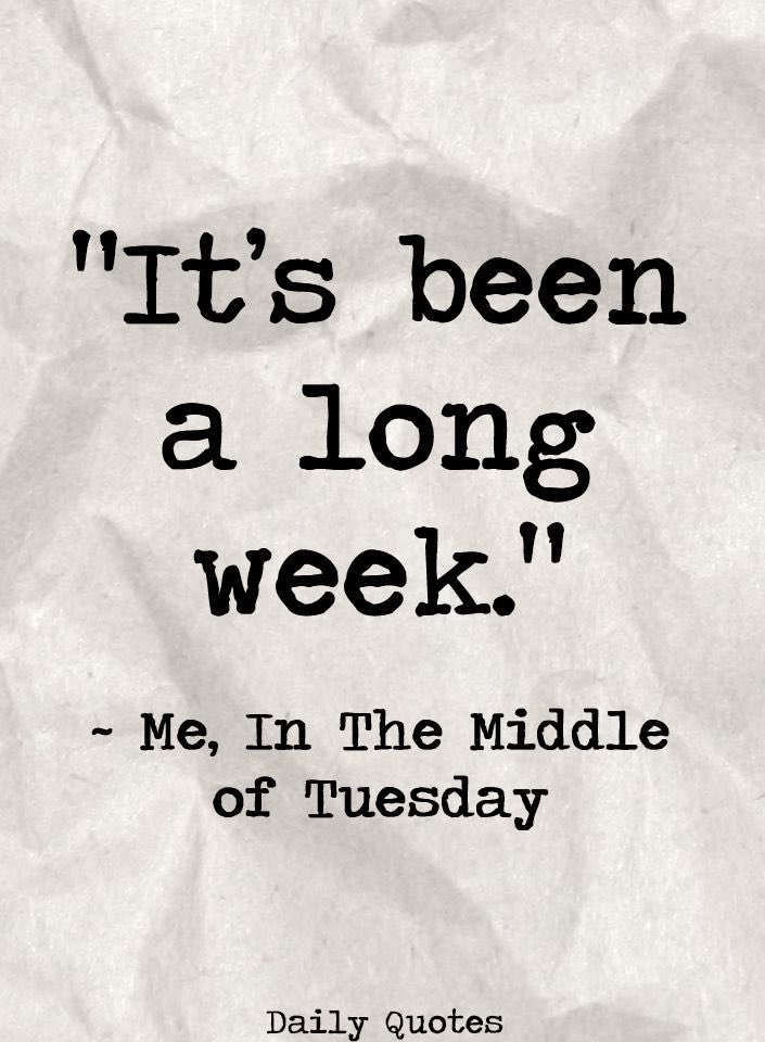 I hate when I have to work at work! Hope you are all having a terrific Tuesday 🤣🌮