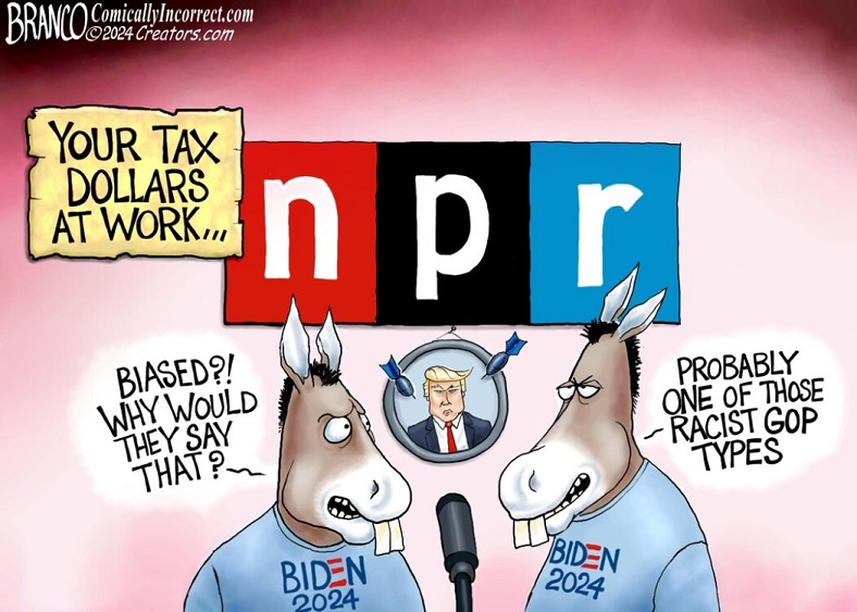 NPR - National Propaganda Radio is paid for with your tax dollars. When Uri Berliner crossed the line and told the truth about NPR's practices, what do you think NPR would do to reward him? Of course, a 5 day suspension without pay seems fair to them. Berliner is 25 yr award winr