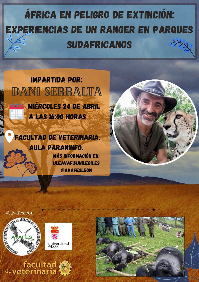 AVAFESLeon's tweet photo. Buenas tardes AVAFEROS!! 😻
Venimos a anunciaros que el próximo miércoles 24 de Abril, tendremos a @daniserralta contándonos su experiencia en áfrica en el paraninfo de la facultad de Veterinaria!! 
Os esperamos! 🦏🐘 https://t.co/1ostU784bX