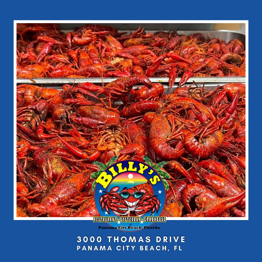 Hot, fresh, crawfish steamed to perfection are waiting for you at Billy’s Oyster Bar & Crab House! 🦞

#pcbeats #visitpcb #supportsmallbusiness #crabs #pcb #dailyspecials #clams #bakedoysters #crawfish #dailyspecial #buffaloshrimp #bluecrab #eatlocaleatoften #panamacitybeach