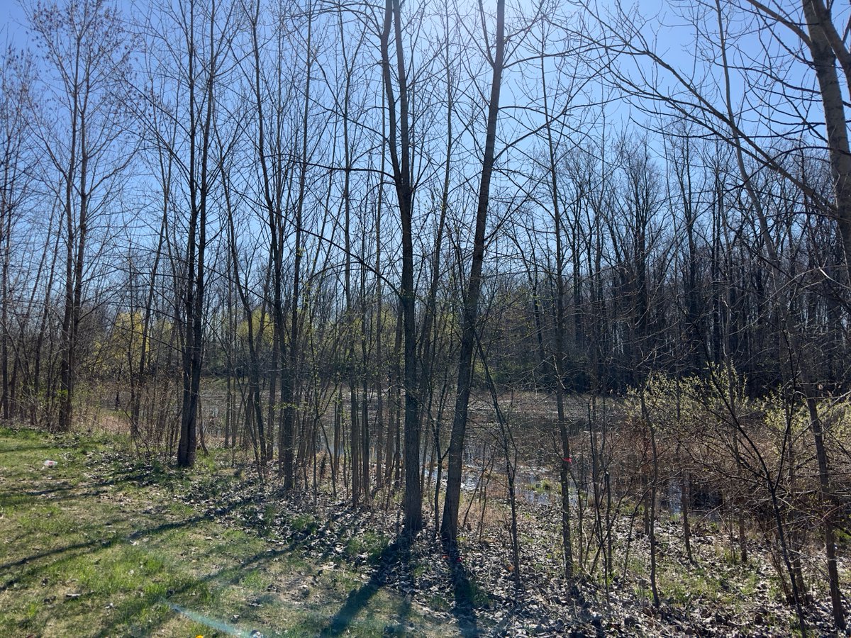 StratCons's tweet image. Running views.
#MichiganSpring
La última de este mes en MI.