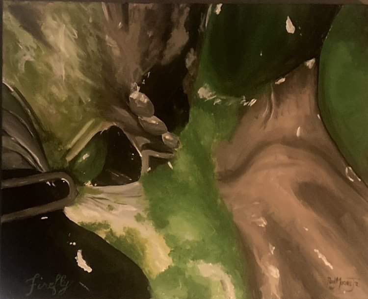 RonMooreJR5's tweet photo. FRESH OFF MY EASEL… these are of images of Liposcopic surgeries…1 is a gallbladder and the other (I think) is kidney. Soon they’ll be on their way to their home in Texas https://t.co/djZFvmTOgV