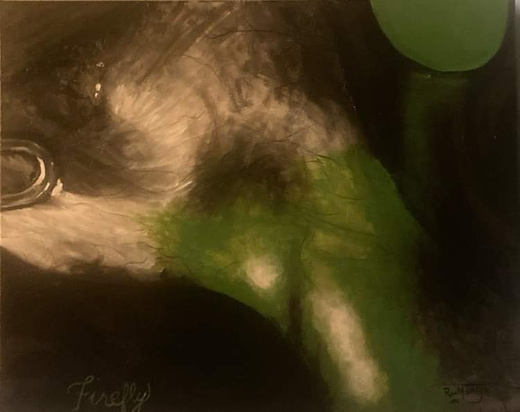 RonMooreJR5's tweet photo. FRESH OFF MY EASEL… these are of images of Liposcopic surgeries…1 is a gallbladder and the other (I think) is kidney. Soon they’ll be on their way to their home in Texas https://t.co/djZFvmTOgV