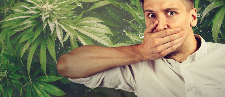 EjercicioCien's tweet photo. El debate sobre la marihuana en el deporte continúa. ¿Deberían los atletas tener acceso a esta sustancia para mejorar el rendimiento, o se deben considerar los riesgos para la salud y la ética deportiva? https://t.co/gPc9fscYjB