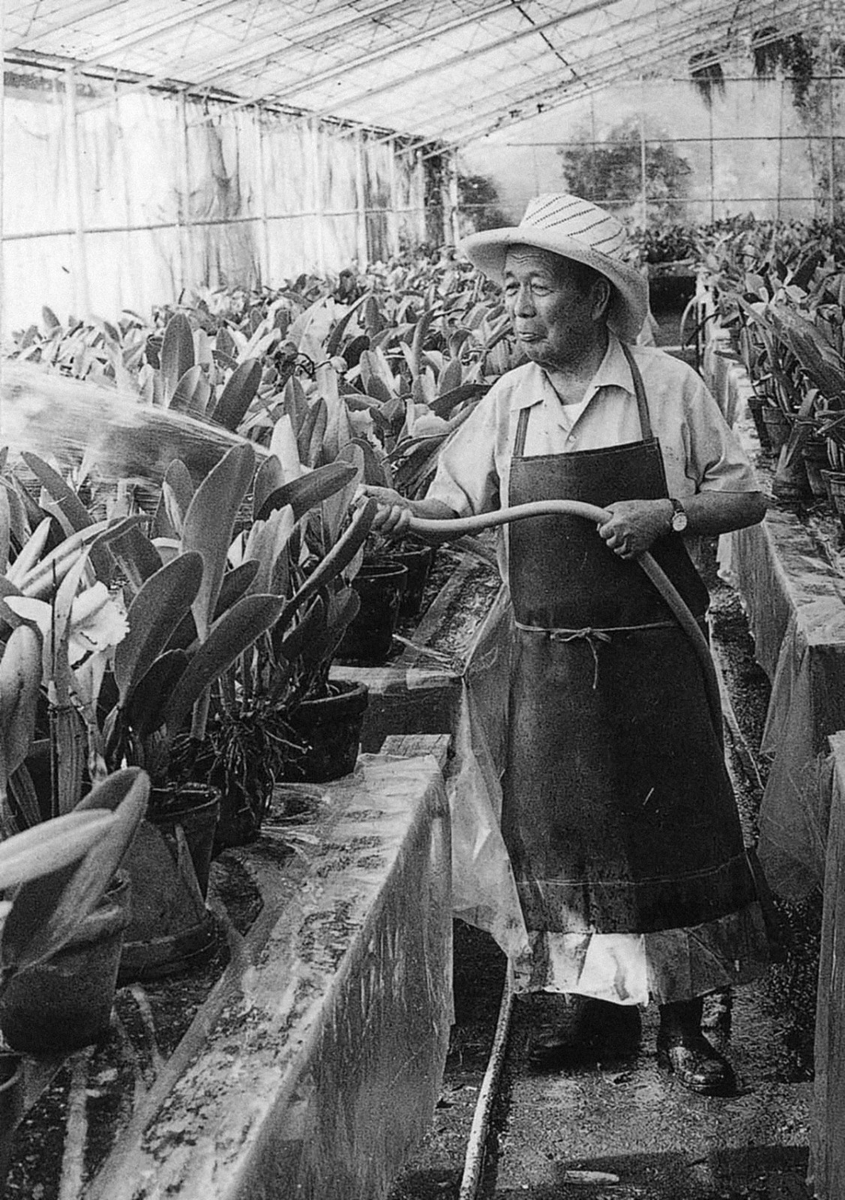 Agonzalezgamio's tweet photo. En mi última crónica recordamos la historia de cómo es que llegaron las jacarandas a la Ciudad de México. La pueden encontrar aquí: https://t.co/gVBtYwRUNC https://t.co/b3SnazM0fJ