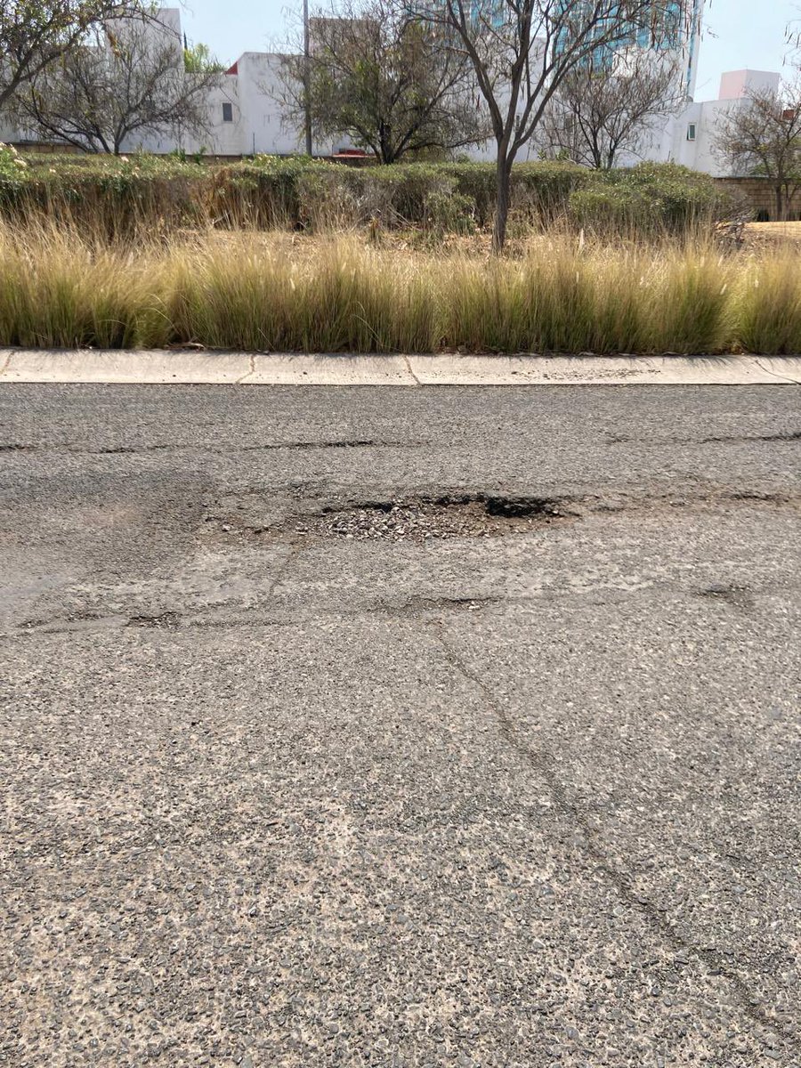 StaFeJuriquilla's tweet photo. @qromunicipio Meses de accidentes , baches no arreglados, postes de luz no repuestos y poda dejada por meses  @SSPMQueretaro haciendo otras cosas. Nosotros hacemos nuestra parte municipio con las cuotas ¿ y  ustedes ? https://t.co/viOm89UUU9