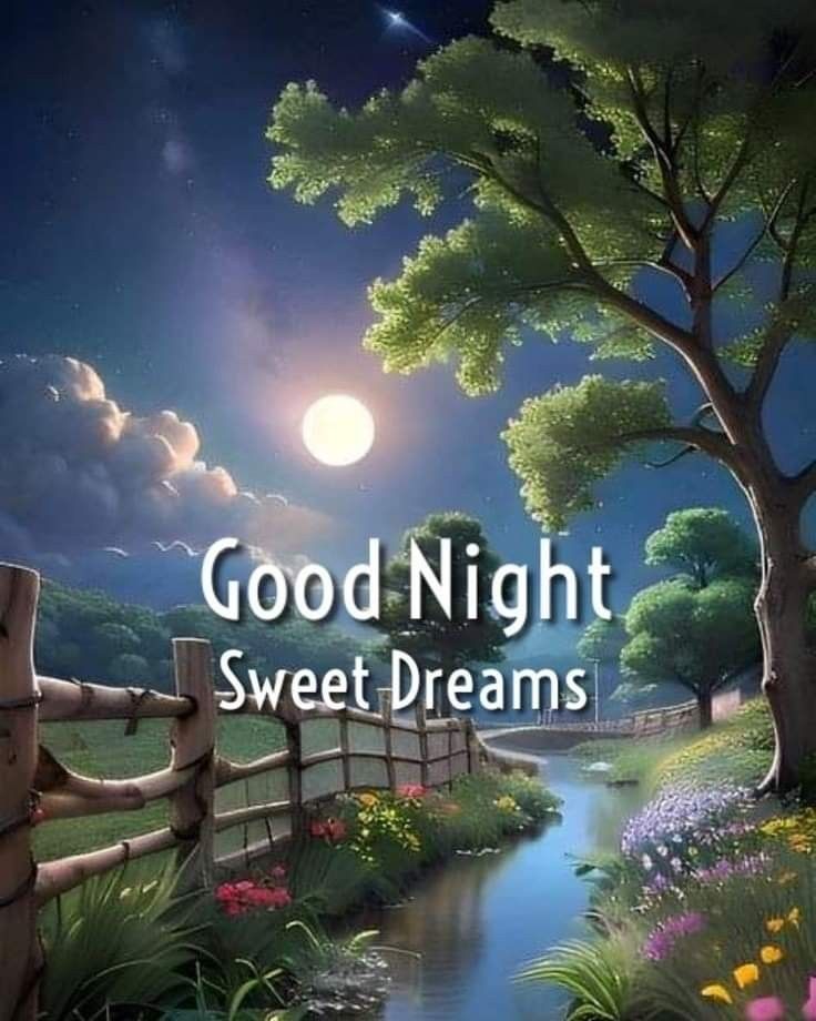 HIDAYAT_LLC's tweet photo. Assalam o walikom 💞
Friends
Good night https://t.co/kiebNeF92R