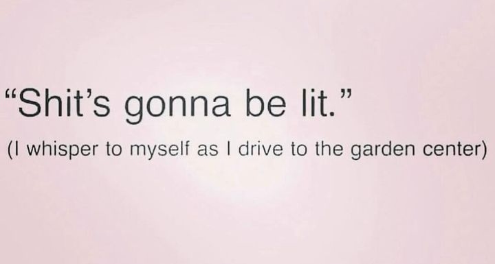 Surviving The Internet Without A Sarcasm Font 🙄 (@CSurvivor9) on Twitter photo 2024-04-16 18:20:56