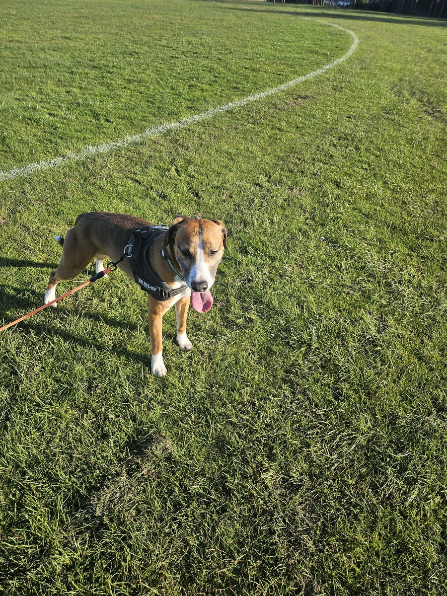 #toungeouttuesday 💞☺️