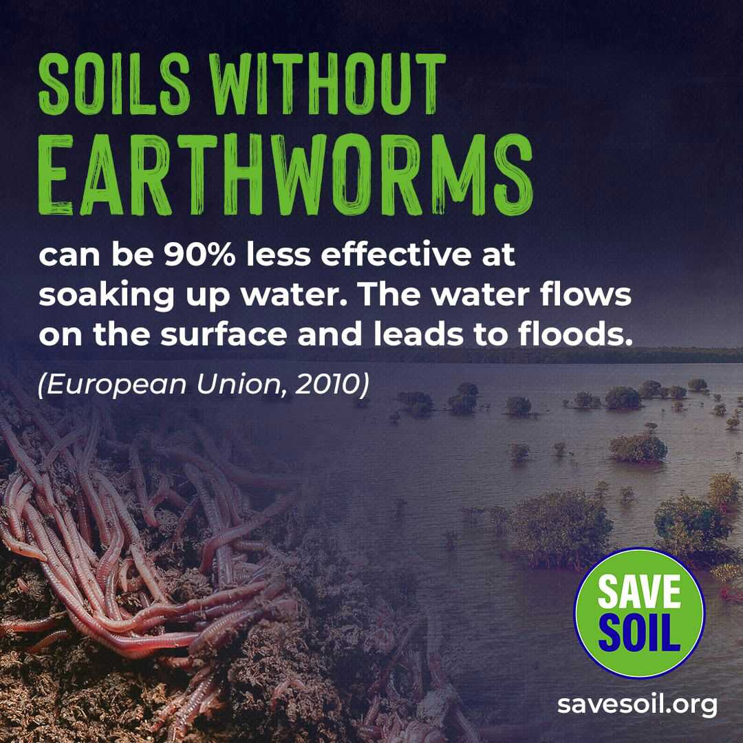 @cpsavesoil #SaveSoil #SoilHealthLaw #SoilHealth #SaveSoilForClimateAction