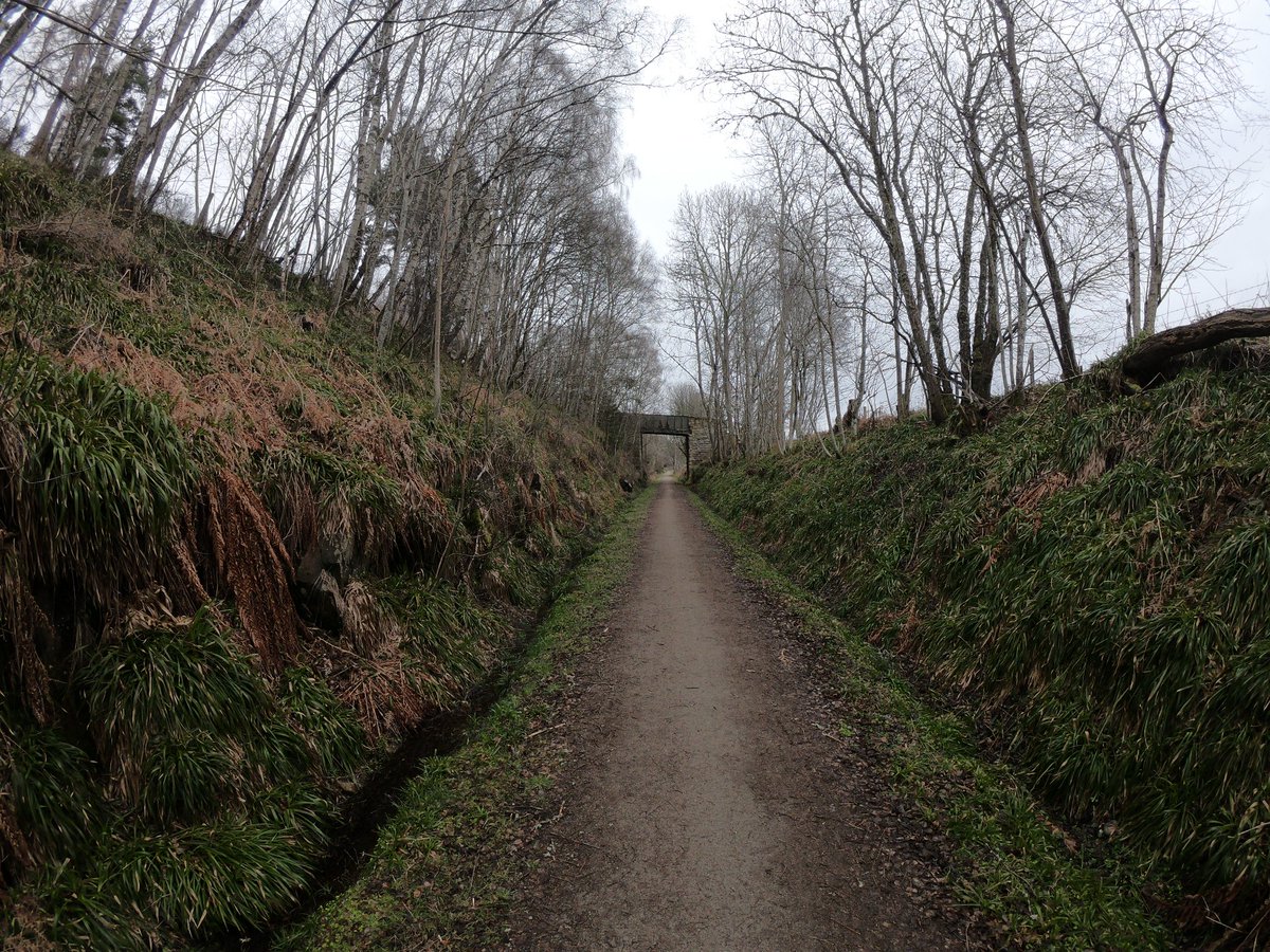 #Hiking between Cragganmore and Aberlour  along #speysideway, April 1st 2024.       

#Hikingadventures #ldwa
